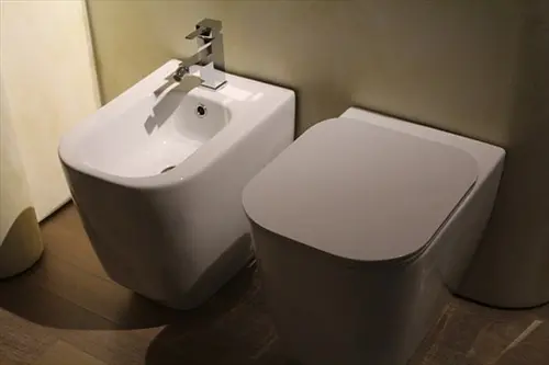 Bidet-Installation--in-Grapevine-Texas-bidet-installation-grapevine-texas.jpg-image